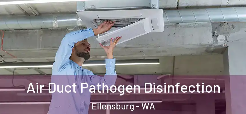  Air Duct Pathogen Disinfection Ellensburg - WA