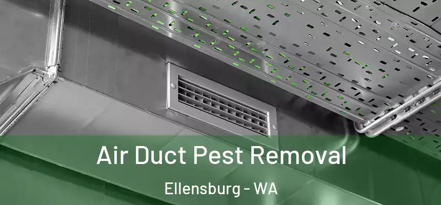  Air Duct Pest Removal Ellensburg - WA