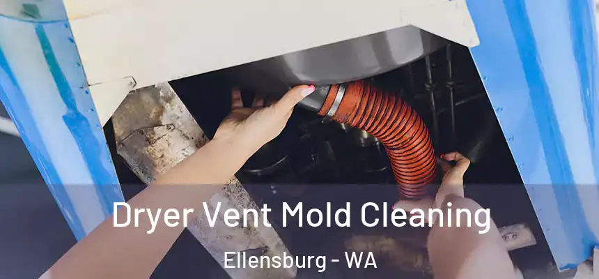 Dryer Vent Mold Cleaning Ellensburg - WA