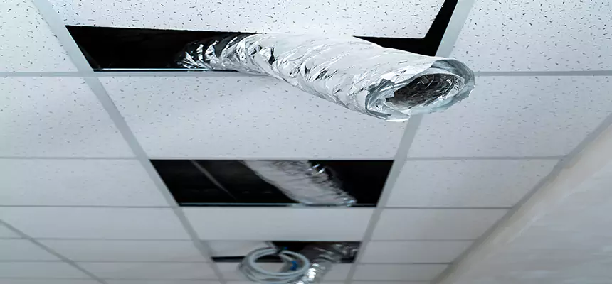 Our Air Duct Pet Hair Removal Services in Ellensburg, WA