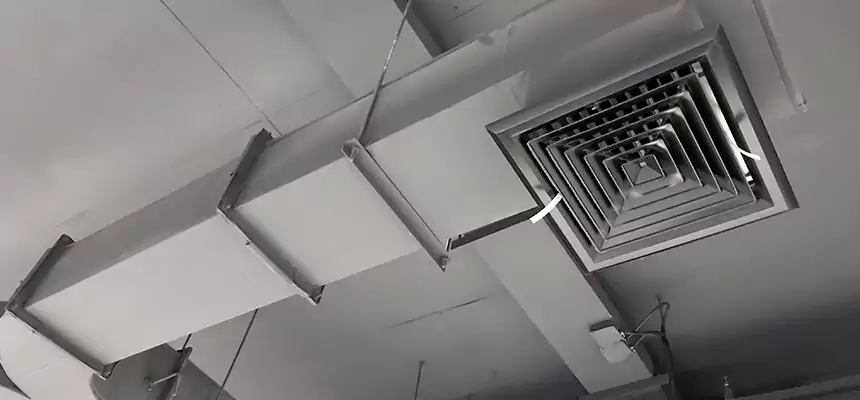 Restorative Allergy Relief Vent Cleaning – Coil, Blower & Housing Detail in Ellensburg