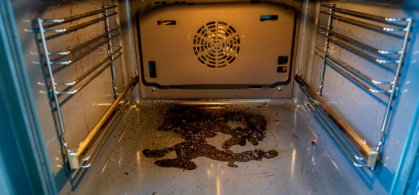 Our Dryer Vent Mold Cleaning Services in Ellensburg, WA