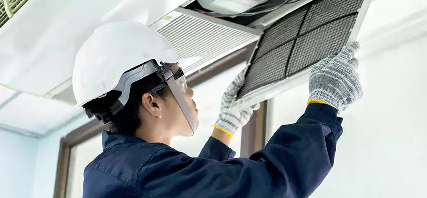 Our Mold & Mildew Removal from Air Ducts Services in Ellensburg, WA