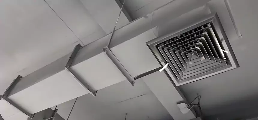 Our Pest Removal From Ducts Services in Ellensburg, WA