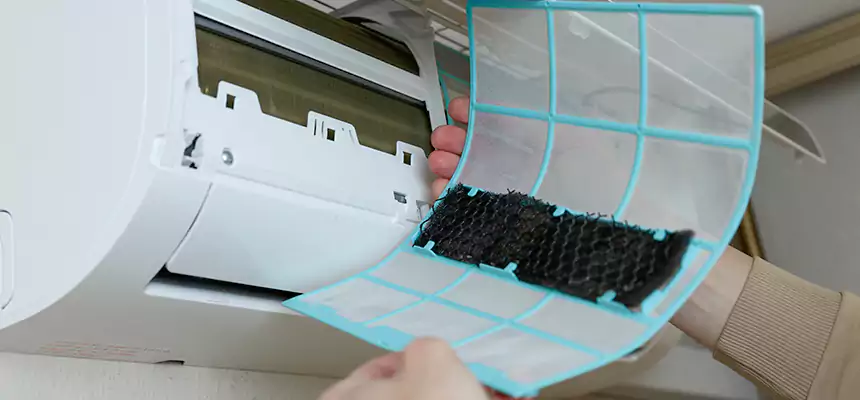 Gentle Ductwork Odor-Control Pet Dander Duct Cleaning in Ellensburg, WA