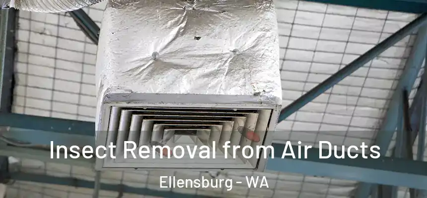  Insect Removal from Air Ducts Ellensburg - WA