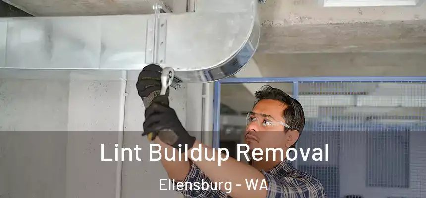  Lint Buildup Removal Ellensburg - WA