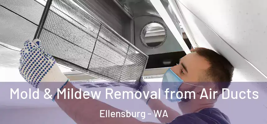  Mold & Mildew Removal from Air Ducts Ellensburg - WA