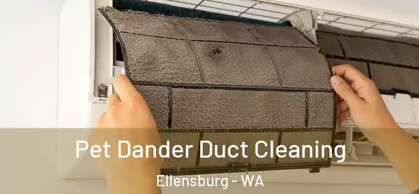 Pet Dander Duct Cleaning Ellensburg - WA