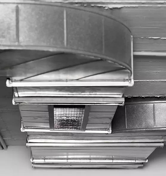 Professional Air Duct Pest Removal in Ellensburg, WA