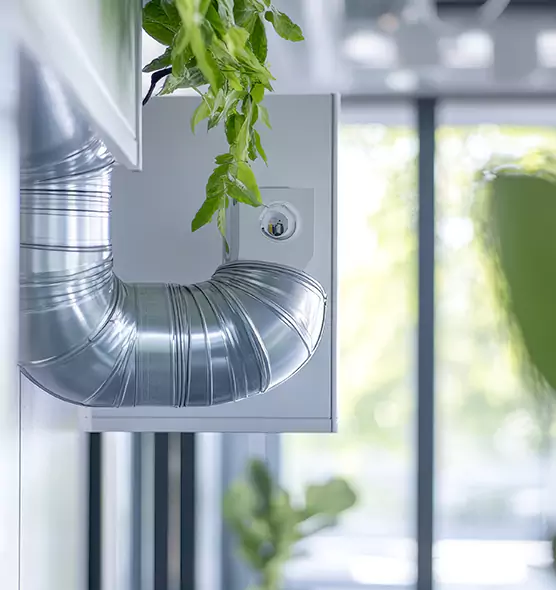 Professional Eco-Friendly Duct Cleaning Services in Ellensburg, WA